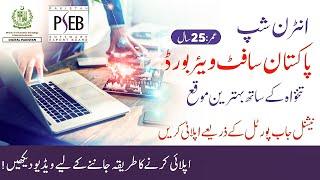 Pakistan Software Export Board (PSEB) Paid Internships 2025 | Apply Online Now  | How2Fix