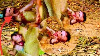 What happened baby monkey? Why mother reject baby don give milk? baby very sadly