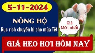 Giá heo hơi hôm nay 5/11/2024 - NGuyên nhân hao Tết sẽ tăng mạnh