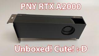 PNY RTX A2000 Nvidia Unboxed!