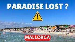 Why I AVOID Visiting This Mallorca Beach | Playa Es Trenc Beach