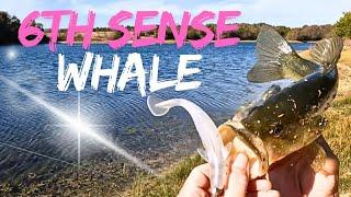 BASS FISHING with 6TH SENSE 6" WHALE SWIMBAIT | POND FISHING