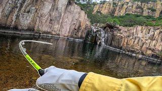 Encontramos un OASIS INFESTADO DE PECES! -Pescando en hermoso rio