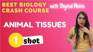 Animal Tissues in One Shot | Ishita Khurana