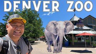 Denver Zoo Walking Tour | Travel Guide