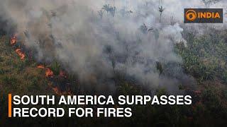 South America surpasses record for fires | DD India Live