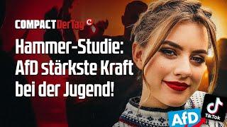 Hammer-Studie: AfD stärkste Kraft bei der Jugend!