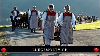 Alpabzug Plaffeien - von Alp Kommet bis Plaffeien -  LuegemolTV