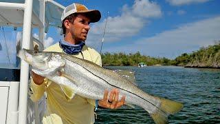 Snook, Mahi and Bonito! ft. Scott Martin & Monster Mike