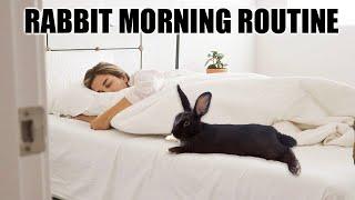 IN DEPTH BUNNY MORNING ROUTINE 