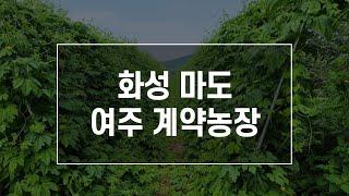 하이헬스 여주 계약농장