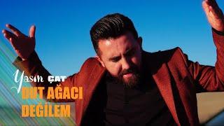 Yasin Çat - Dut Ağacı Değilem