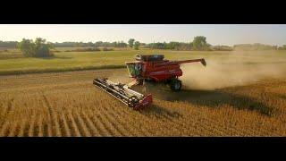 Boeren in het buitenland met CASE IH | Sojabonen oogst in Minnesota | 1000 hectaren in 5 dagen!