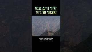 해발 3천미터 절벽에 자리한 논밭 ..#중국여행 #오지여행 #다랑논끝판왕
