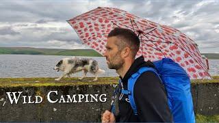 WILD CAMPING WITH A DOG - Yorkshire Dales UK