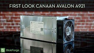 First look At the New Canaan Avalon 921 vs Avalon 841!