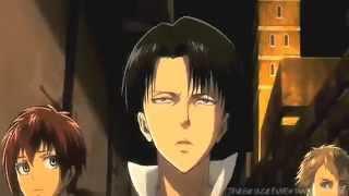 T O P  MEP [levi]