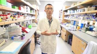 MD/PhD Student Bios - Zhou Ke