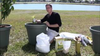 Super Soil Recipe