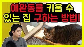 집구하기팁 / 애완동물(강아지,고양이) 키울 수 있는 집 구하는 방법! [덕방아재]