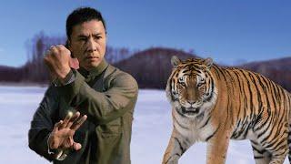 This Kung Fu boy is so skilled in martial arts that he can kill a tiger with one punch.