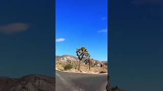 Speed Driving on a Beautiful Road|Just Feel the Nature and Relax #shorts