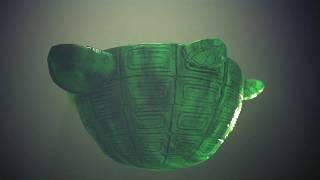 Nephritis Turtle