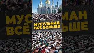 БЫСТРЫЙ РОСТ#мирадио #islamicshorts #news #мусульмане #статистика #численность #демография #умма