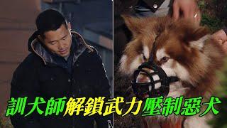 徒弟被惡犬嚇得逃離現場，姜訓化身武之訓犬師暴力壓制，順帶著把主人訓了