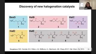 Monica Neugebauer – Conversion of a hydroxylase to a halogenase through reaction pathway engineering