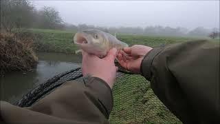 RIVER EREWASH FISHING - Z MAN TRD CRAWZ