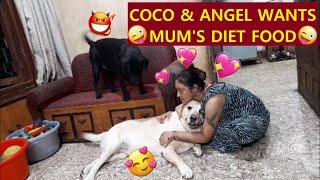 COCO & ANGEL EATS MUM'S DIET FOOD| WILL THEY LOVE IT??  WATCH THE MIDNIGHT CUDDLES| #BONUS CLIP