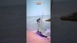 LOOK! CATCHING GIANT CROCODILES ON THE BEACH
