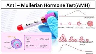 Anti – Mullerian Hormone Test -Best marker to access the ovarian reserve- #AMH#medilabacademy