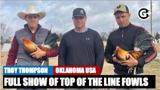 Eye-Catching Rooster Breeds of Mr. & MS. Troy and  Raquel Thompson of OKC.