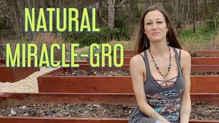 ANCIENT MIRACLE-GRO NATURAL GARDENING USING WOOD ASH