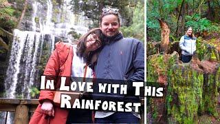 Russell Falls to Huon Valley | Things to do around Hobart Australia!!!