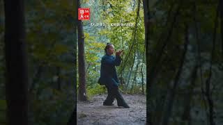 武当八卦掌第1集动作演练教学（上）高清（Wudang Kungfu Bagua Palm Teaching）