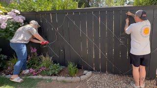 Installing Espalier Honeysuckle On My Fence With Janey 🪴 || Visit Our Garden