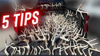 Shed Hunting TIPS | Find MORE Deer Antlers