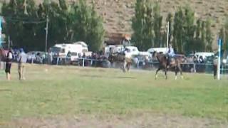 GINETEADA 2 FIESTA PCIAL DEL CABALLO 2010.flv