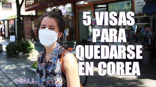 5 visas para quedarse en Corea