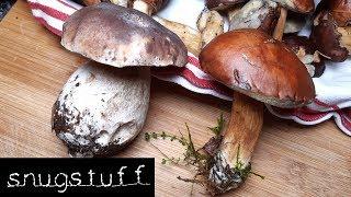 Waldpilze richtig putzen! Am Beispiel von Steinpilz und Braunkappe | Tutorial | Episode 0074