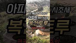 [복건성] 지금도 사람이 살고 있는 수백년 된 고대의 아파트 / #남정토루 #난징토루 #토루 #중국여행 #중국 #부동산 #아파트 #분양미달