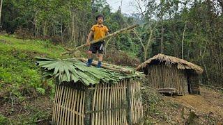 bamboo house in the forest new life in the forest orphan boy khai builds toilet out of bamboo