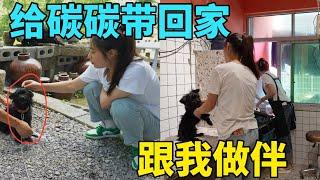 把炭炭带回农村老家，花一百给炭炭做了个美容，爸爸收到李俊买的电子琴高兴坏了