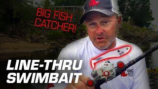 How to Fish a Line-Thru Swimbait w/ Mike McClelland