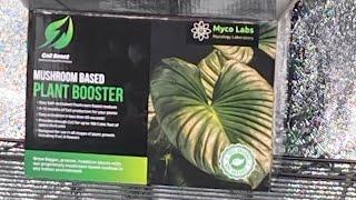 Myco labs co2 booster is a new product I’ll be trying. It grows oyster and shiitake mushrooms ￼