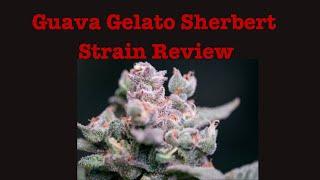 Guava Gelato Sherb Cannabis Strain Review