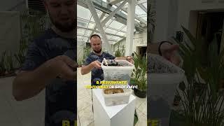 Что такое вермиферма?